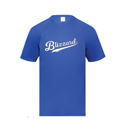 [2790.060.S-LOGO3] Men's Smooth Sport T-Shirt (Adult S, Royal, Logo 3)